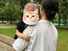 -新江湾城公园