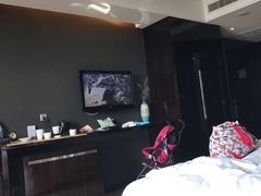 -常州环球恐龙城维景国际大酒店