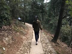 -西湖风景区十里琅珰-五云山
