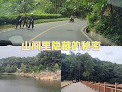 -火炉山森林公园