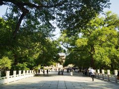 -北陵公园