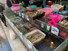 水产区-三亚新鸿港水果一级批发市场