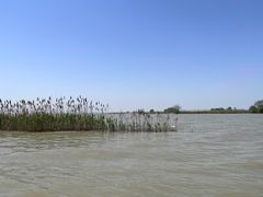 -泗洪洪泽湖湿地景区