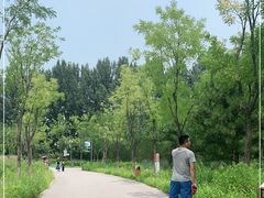 -东郊湿地公园