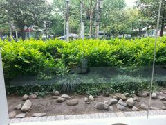android_upload_pic-麦当劳(曲阳店)