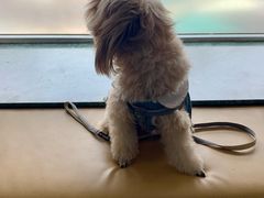 -爱侣宠医·鹦鹉专科·小型哺乳类·异宠专科(灵石路店)