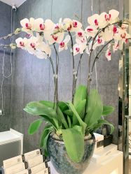 -意廊 Hair Salon