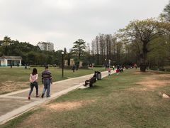 -四海公园(南山区)