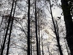 -青龙山国家森林公园