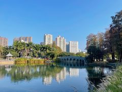 -四海公园(南山区)