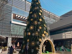 -上海浦东嘉里大酒店