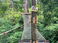 -芦仙山景区-飞越丛林探险乐园