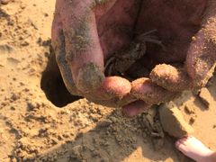 -普陀山风景名胜区-千步大沙