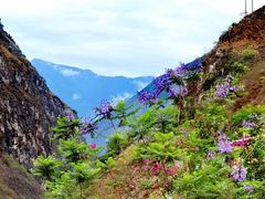 -大渡河峡谷国家地质公园
