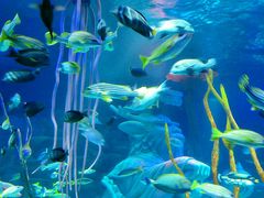 -沈阳海洋探索中心