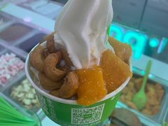 -Salud撒露欧洲冻酸奶(五道口购物中心店)