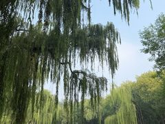 -玲珑塔公园