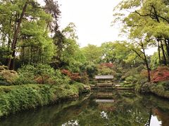 -南山植物园