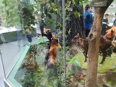 -国家自然博物馆