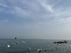 -海合安青岛极地海洋公园