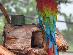 -西霞口神雕山野生动物世界