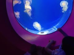 -海合安武汉极地海洋公园