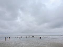 -碧海金沙