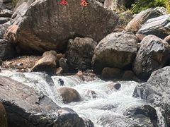-石台牯牛降景区