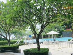 -蛇口希尔顿南海酒店·随轩中餐厅·粤菜
