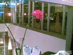 20090423(002)-王家渡火锅店(棕榈泉店)