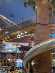 -卡通尼·Safari非洲探索乐园·生日会(金桥国际商业广场店)