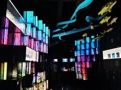-同济大学四平路校区深海探索馆