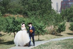 -满堂喜事婚庆