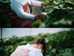 -小鱼草莓采摘园农家乐·小鱼餐厅