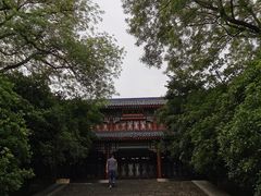 -灵谷景区