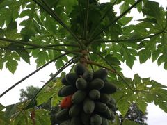 -杨梅坑渔村海鲜餐厅