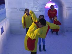 -世界之窗阿尔卑斯冰雪世界