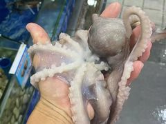 -三亚相缘海鲜·烧烤·糟粕醋(三亚湾店)
