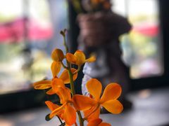 -自然食集西餐厅(泰晤士小镇店)