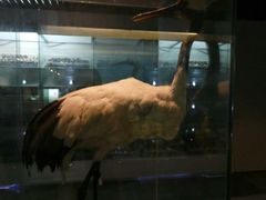 -四川农业大学(雅安校区)