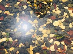 -上海滴水湖皇冠假日酒店