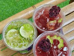 -炖物24章·顺时轻养茶(杭州大厦店)