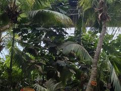 -北戴河集发农业梦想王国