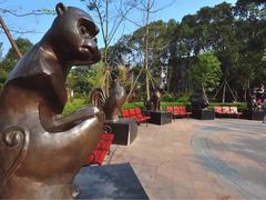 -成飞公园