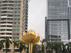 -金莲花广场