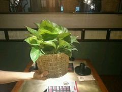 芋头-手选潮汕鲜活牛肉火锅(二七广场店)