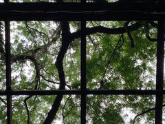 -华南国家植物园-售票处