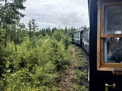 -莫尔道嘎国家森林公园