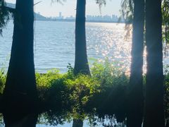 -东湖落雁景区