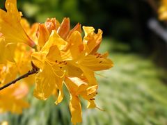 -上海滨江森林公园